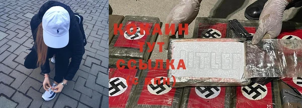 ECSTASY Яровое