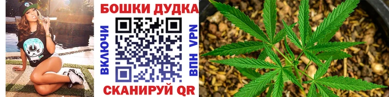 Купить закладки  Отрадный  Каннабис ГИДРОПОН 